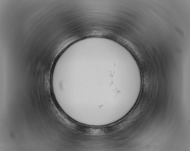 X0000111600794200908131402