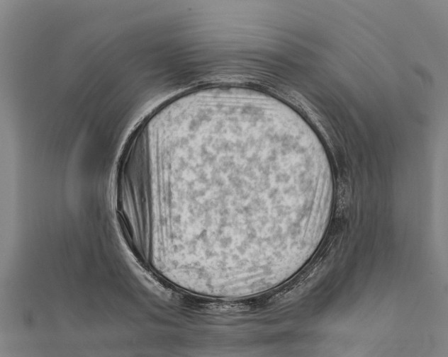 X0000111600795200908131402