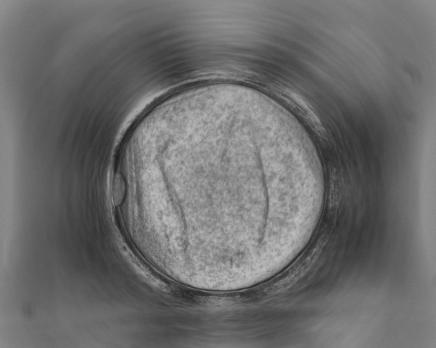 X0000111600796200908131402
