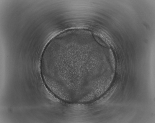 X0000111600797200908131402