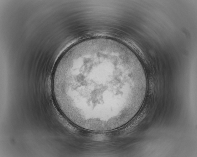 X0000111600798200908131402
