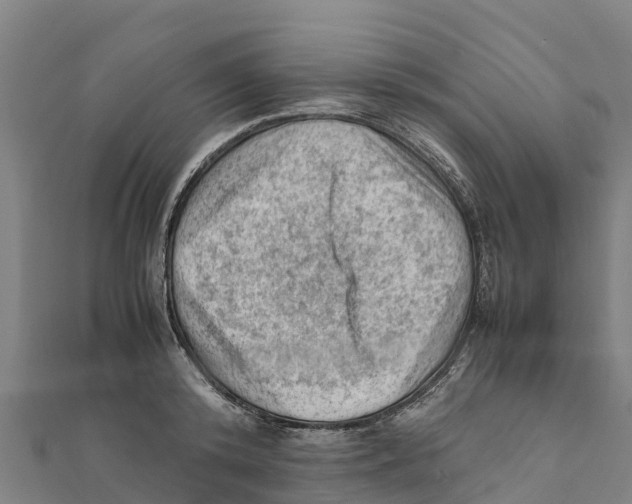 X0000111600800200908131402