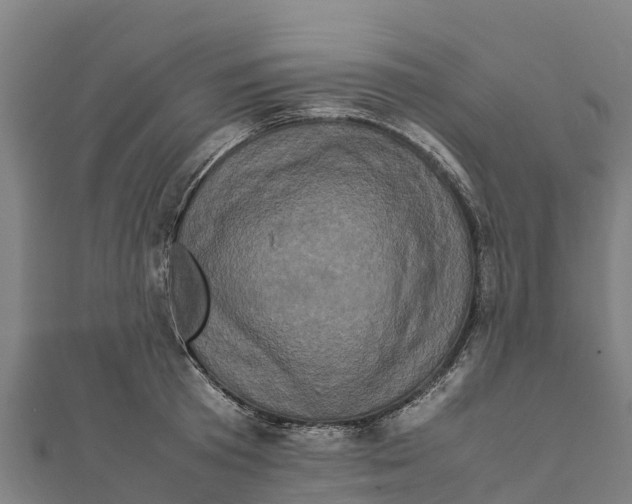 X0000111600801200908131402