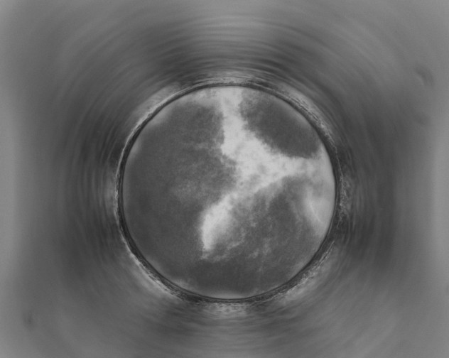 X0000111600802200908131402