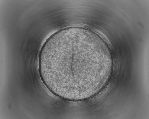 X0000111600804200908131402