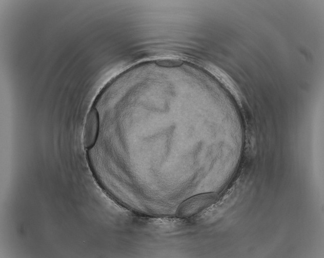 X0000111600805200908131402