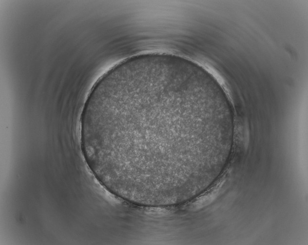 X0000111600807200908131402