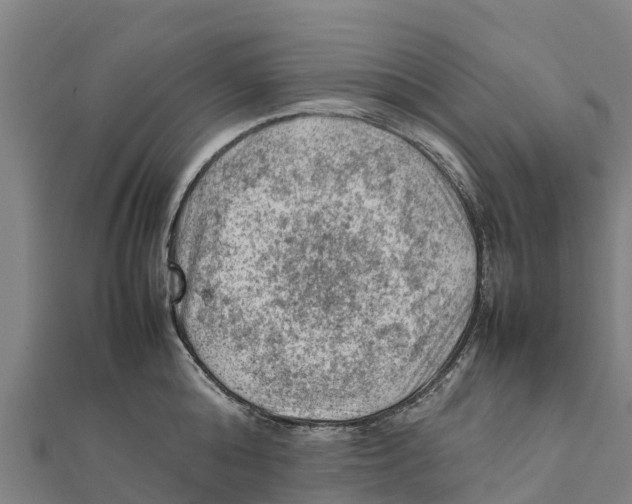 X0000111600808200908131402