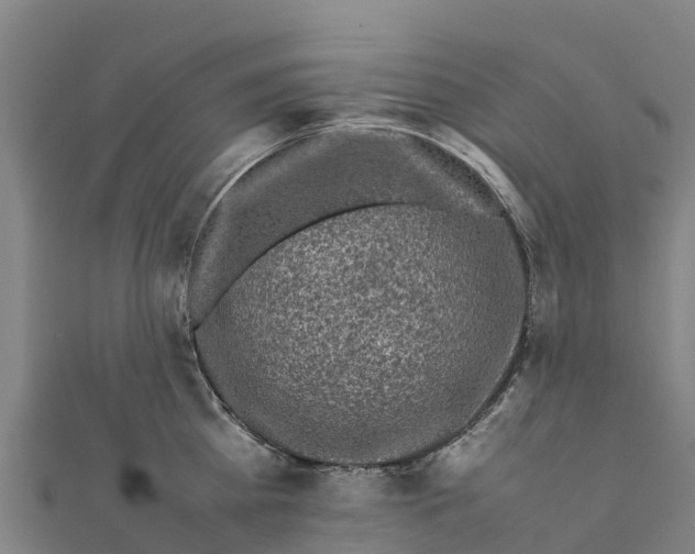 X0000111600809200908131402