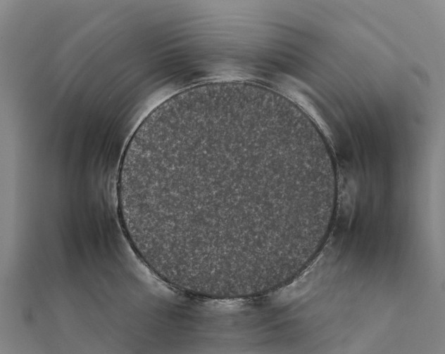 X0000111600810200908131402