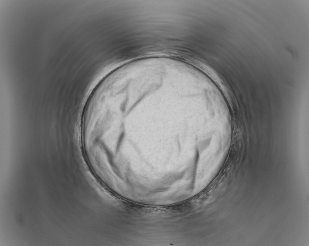 X0000111600811200908131402