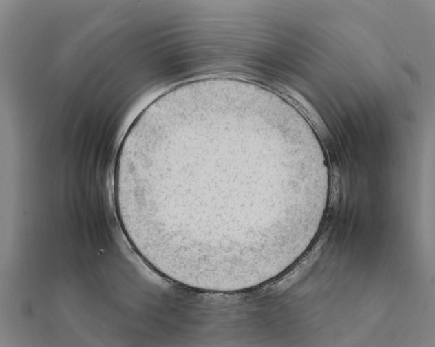 X0000111600812200908131402