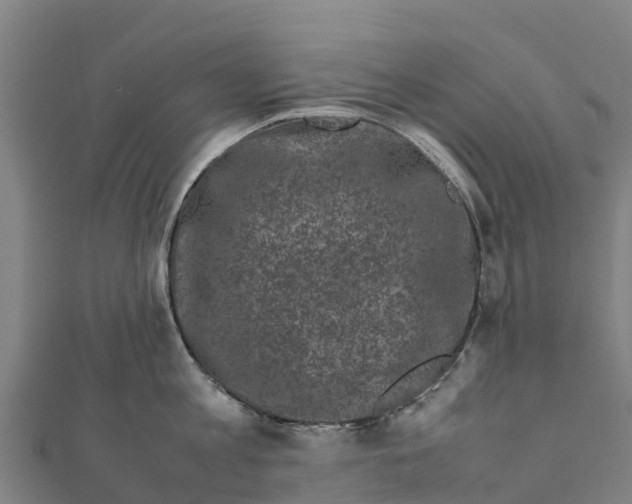 X0000111600813200908131402