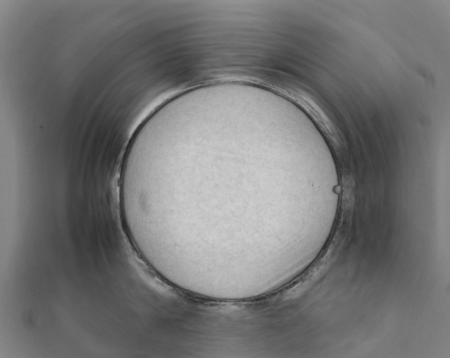 X0000111600814200908131402