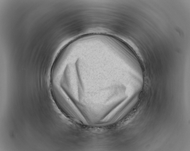 X0000111600815200908131401