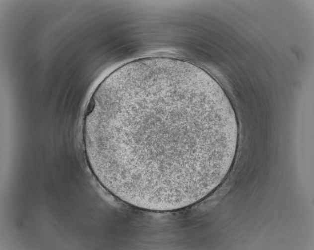 X0000111600816200908131401