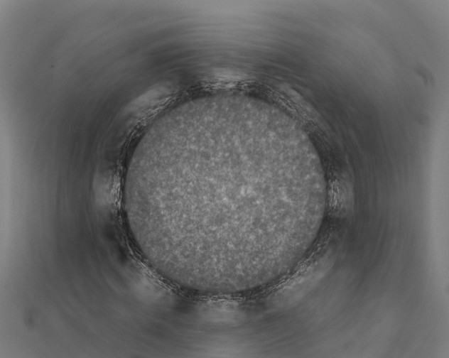 X0000111600820200908131401