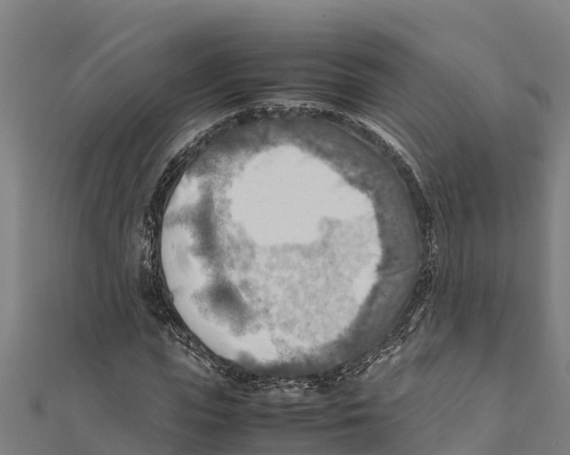 X0000111600823200908131401