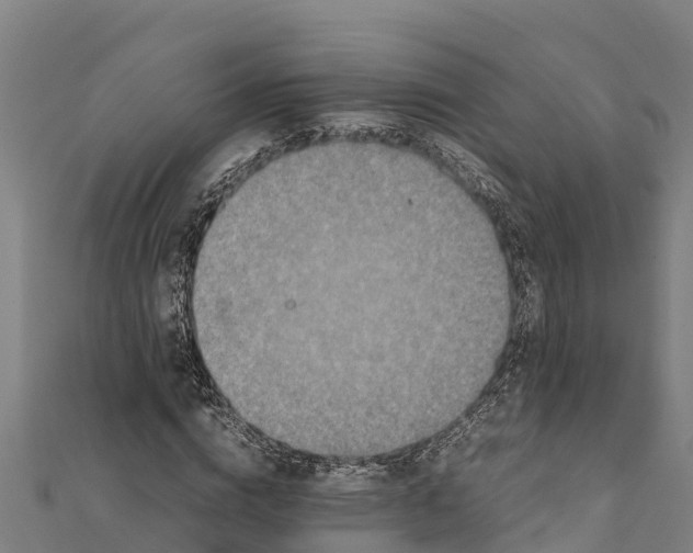 X0000111600824200908131401