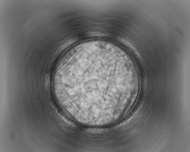X0000111600825200908131401