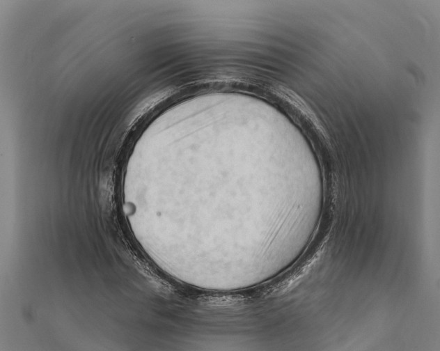 X0000111600826200908131401