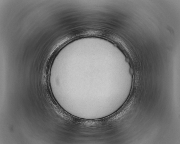 X0000111600827200908131401