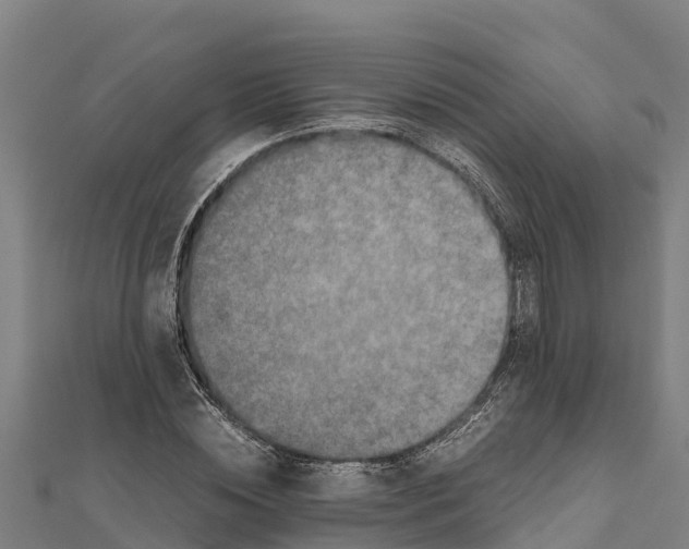 X0000111600828200908131401