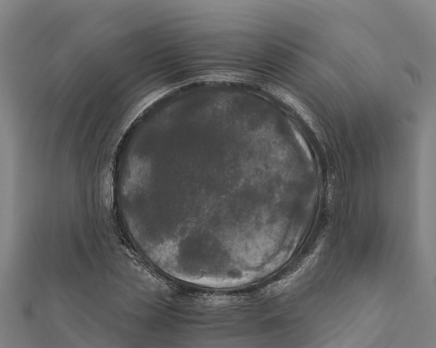 X0000111600829200908131401