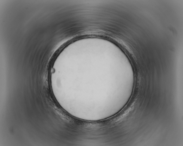X0000111600830200908131401