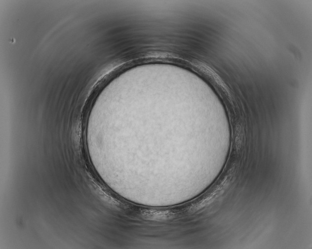 X0000111600831200908131401