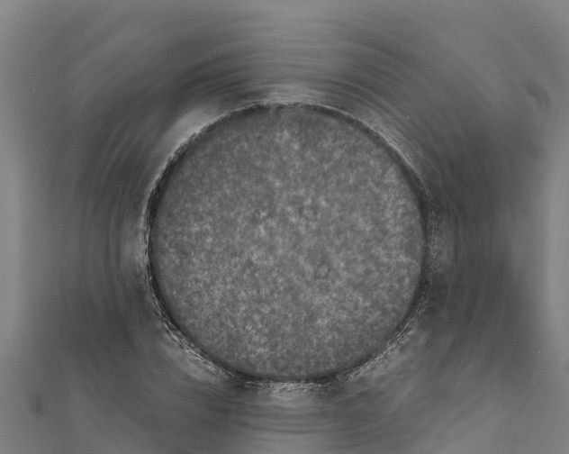 X0000111600832200908131401