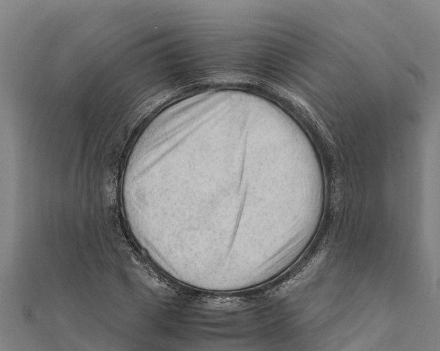 X0000111600833200908131401