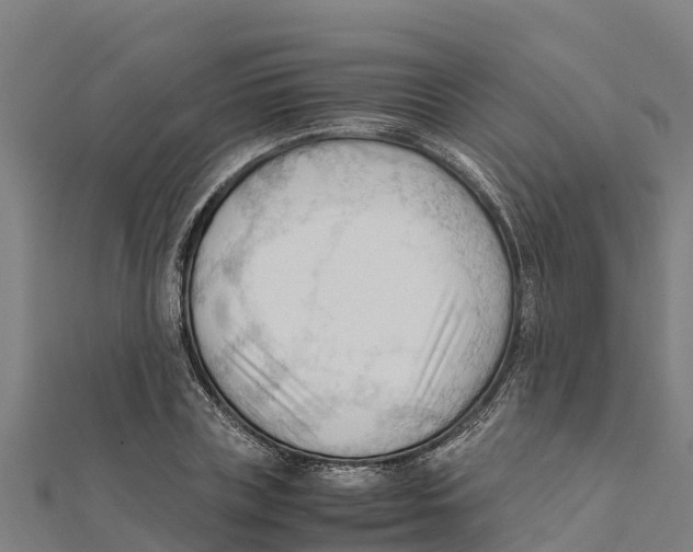 X0000111600835200908131401