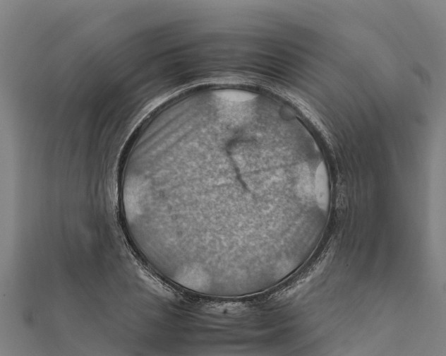 X0000111600837200908131401