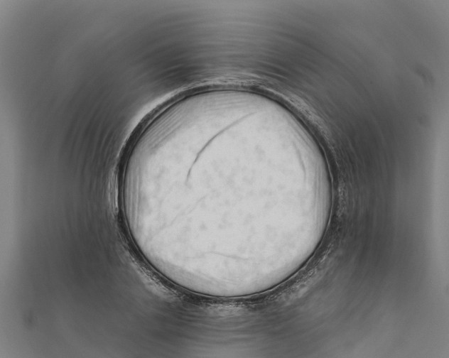 X0000111600838200908131401
