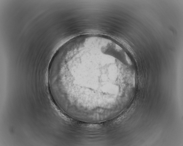 X0000111600839200908131401