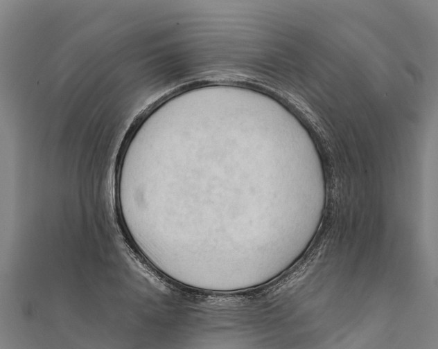 X0000111600840200908131401