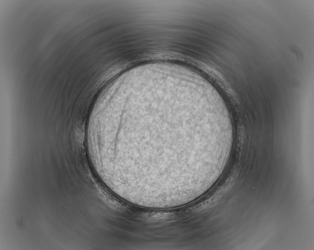 X0000111600841200908131401