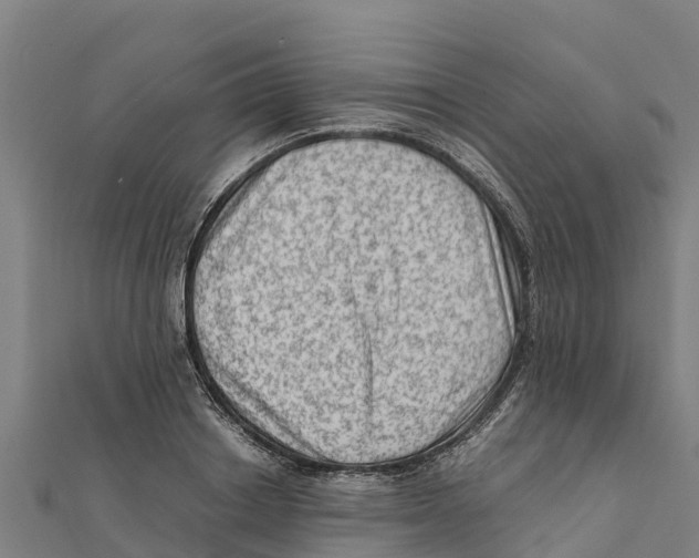 X0000111600842200908131401