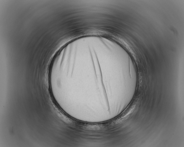 X0000111600843200908131401