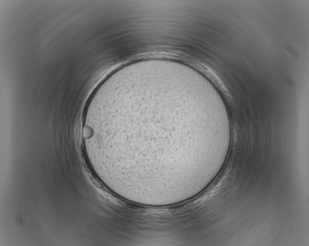 X0000111600844200908131401