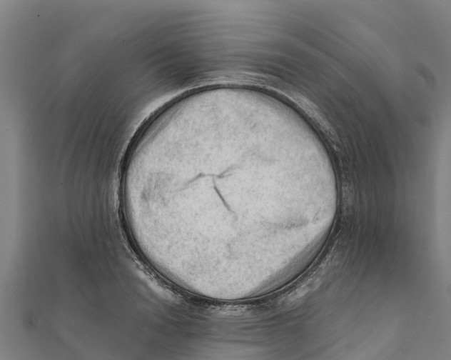X0000111600846200908131401