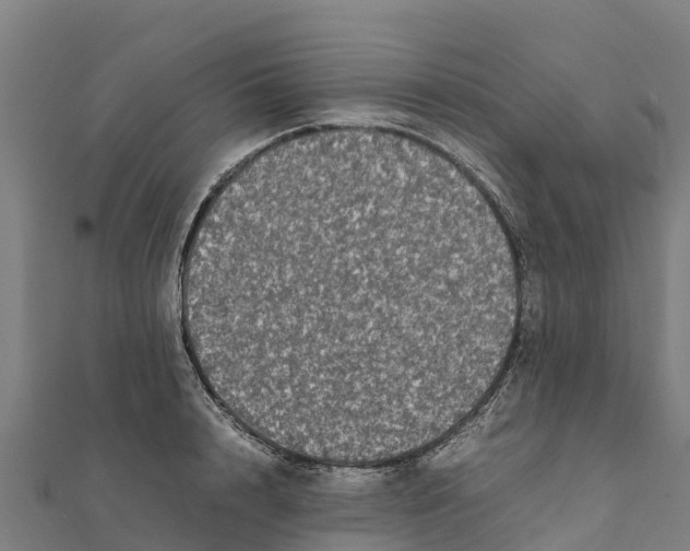 X0000111600848200908131401