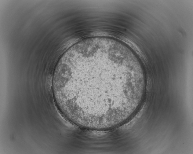 X0000111600849200908131401