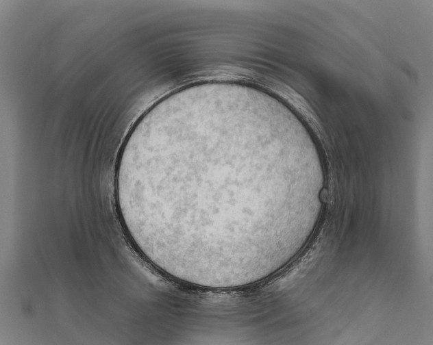 X0000111600850200908131401