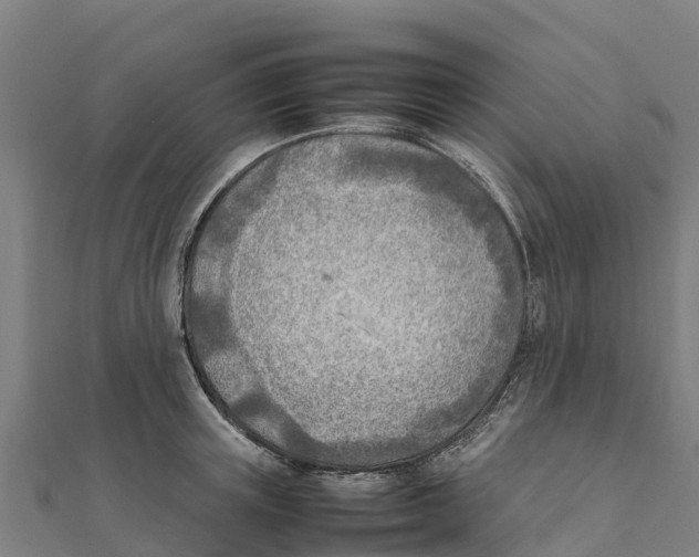 X0000111600851200908131401