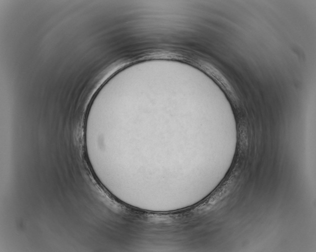 X0000111600852200908131401