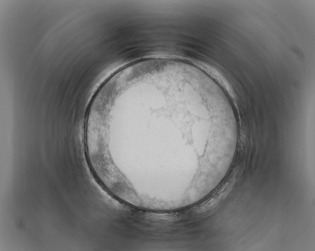 X0000111600855200908131401