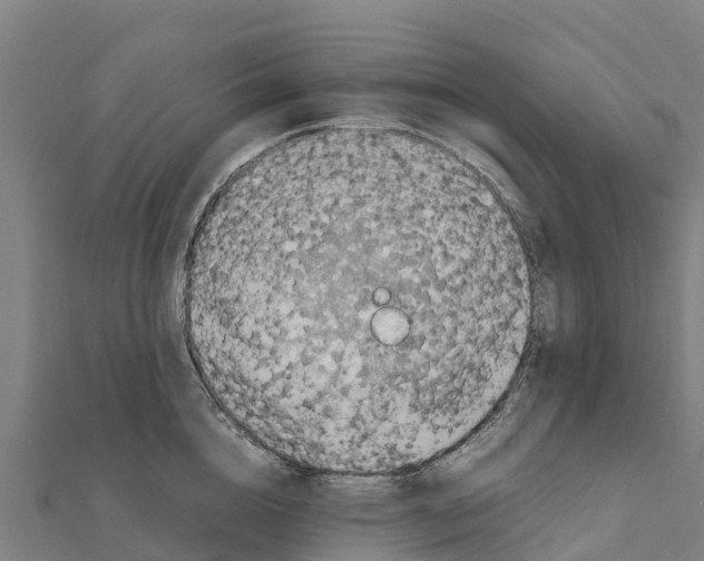 X0000111600856200908131401