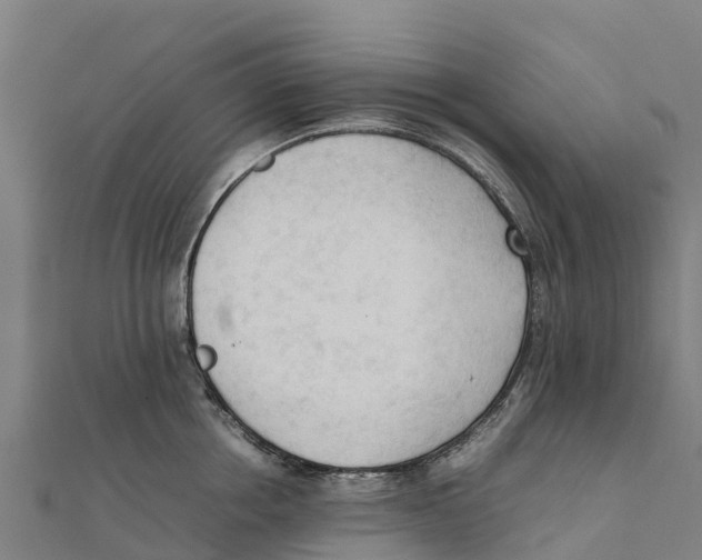 X0000111600858200908131401